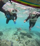 沖縄マリンサービス碧に投稿された画像（2025/12/14）