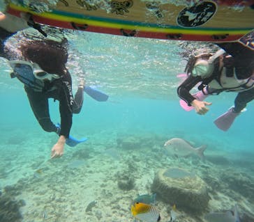 沖縄マリンサービス碧に投稿された画像（2025/12/14）