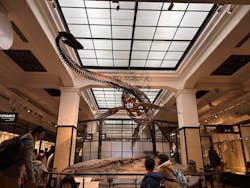 国立科学博物館に投稿された画像（2025/12/14）