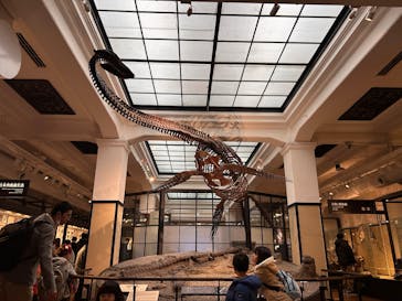 国立科学博物館に投稿された画像（2025/12/14）