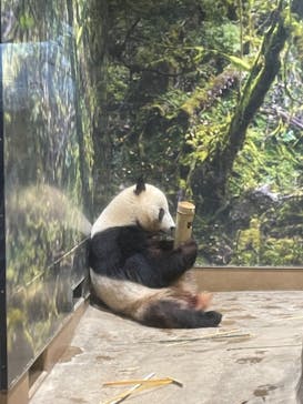 恩賜上野動物園に投稿された画像（2025/12/14）