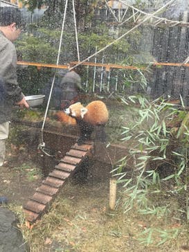 恩賜上野動物園に投稿された画像（2025/12/14）