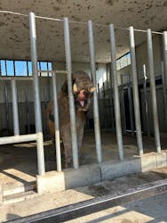 しろとり動物園に投稿された画像（2025/12/14）