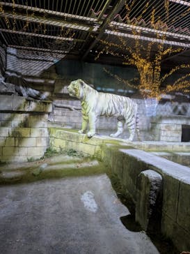 東武動物公園に投稿された画像（2025/12/14）