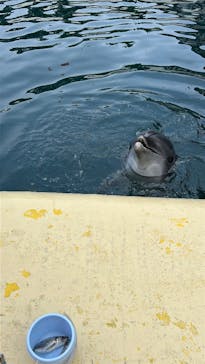 伊豆・三津シーパラダイスに投稿された画像（2025/12/14）