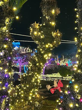 伊豆高原グランイルミに投稿された画像（2025/12/14）