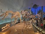 福井県立恐竜博物館に投稿された画像（2025/12/14）