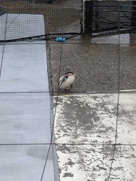 葛西臨海水族園に投稿された画像（2025/12/14）