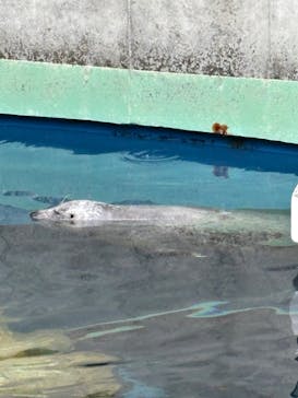 しながわ水族館に投稿された画像（2025/12/14）