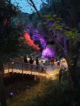 ニジゲンノモリに投稿された画像（2025/12/14）