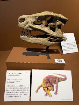 特別展「大絶滅展―生命史のビッグファイブ」に投稿された画像（2025/12/14）