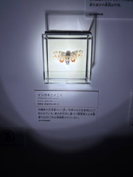 特別展「昆虫MANIAC」（名古屋会場）に投稿された画像（2025/12/14）