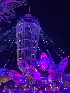 江の島シーキャンドルに投稿された画像（2025/12/14）