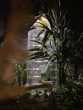 Mozuミニチュア展　ようこそ、ちいさな世界へ。in 銀座（銀座三越）に投稿された画像（2025/12/14）