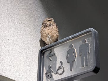 NIFREL（ニフレル）に投稿された画像（2025/12/14）