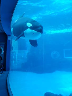 名古屋港水族館に投稿された画像（2025/12/14）