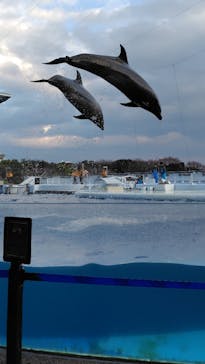 京都鉄道博物館×京都水族館に投稿された画像（2025/12/14）