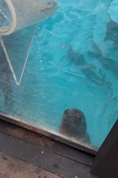 マリンワールド海の中道に投稿された画像（2025/12/14）