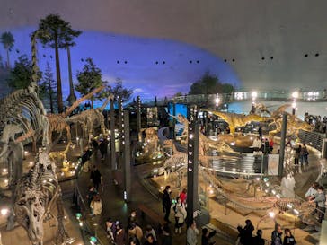 福井県立恐竜博物館に投稿された画像（2025/12/14）