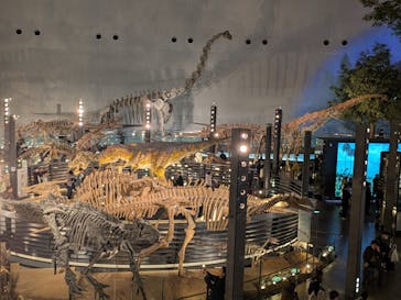 福井県立恐竜博物館に投稿された画像（2025/12/14）