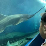 マクセル アクアパーク品川に投稿された画像（2025/12/14）