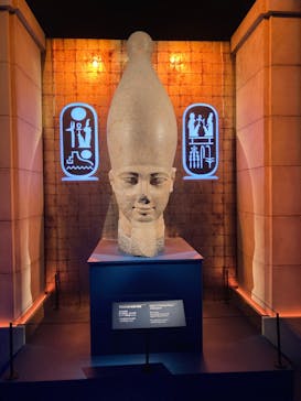 ACN ラムセス大王展 ファラオたちの黄金に投稿された画像（2025/12/14）