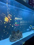 マクセル アクアパーク品川に投稿された画像（2025/12/14）