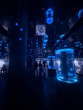 マクセル アクアパーク品川に投稿された画像（2025/12/14）