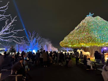 東京メガイルミに投稿された画像（2025/12/14）