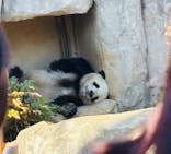 恩賜上野動物園に投稿された画像（2025/12/14）