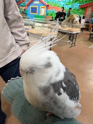 いきもの探検隊上尾に投稿された画像（2025/12/14）