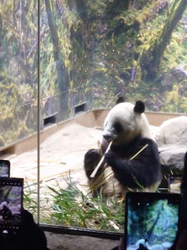恩賜上野動物園に投稿された画像（2025/12/14）