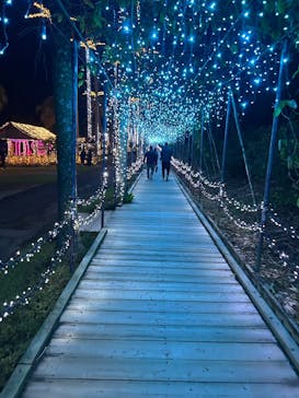 美らヤシパークオキナワ・東南植物楽園に投稿された画像（2025/12/14）