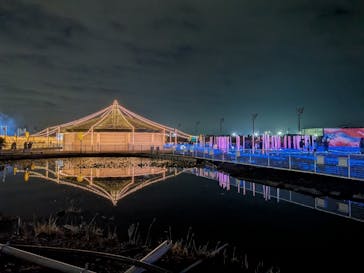 東京メガイルミに投稿された画像（2025/12/14）