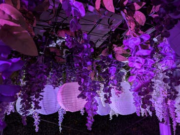 東京メガイルミに投稿された画像（2025/12/14）