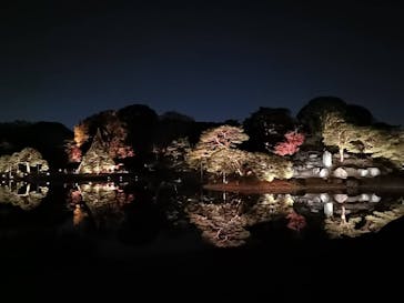 六義園に投稿された画像（2025/12/14）