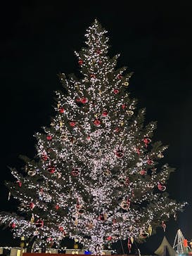 Christmas Market in 横浜赤レンガ倉庫 2025に投稿された画像（2025/12/14）