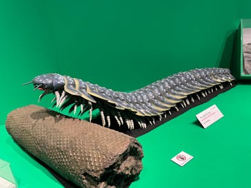 特別展「大絶滅展―生命史のビッグファイブ」に投稿された画像（2025/12/14）