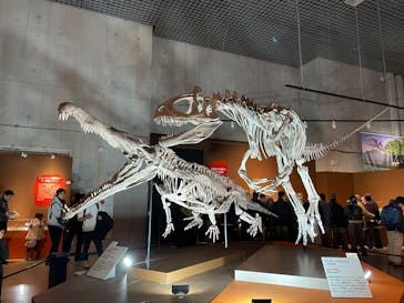 特別展「大絶滅展―生命史のビッグファイブ」に投稿された画像（2025/12/14）