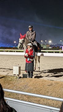 東京メガイルミに投稿された画像（2025/12/14）