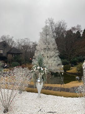 箱根ガラスの森美術館に投稿された画像（2025/12/14）