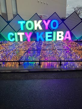 東京メガイルミに投稿された画像（2025/12/14）