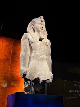 ACN ラムセス大王展 ファラオたちの黄金に投稿された画像（2025/12/14）