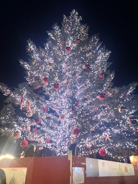 Christmas Market in 横浜赤レンガ倉庫 2025に投稿された画像（2025/12/14）