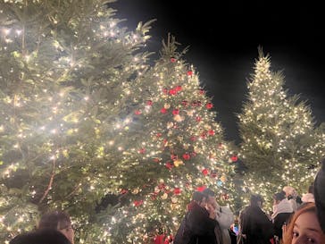 Christmas Market in 横浜赤レンガ倉庫 2025に投稿された画像（2025/12/14）