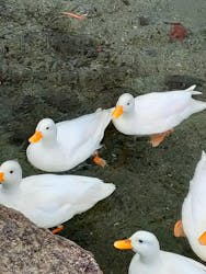 箱根園水族館に投稿された画像（2025/12/14）