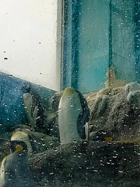 箱根園水族館に投稿された画像（2025/12/14）