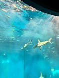 葛西臨海水族園に投稿された画像（2025/12/14）