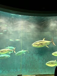 葛西臨海水族園に投稿された画像（2025/12/14）