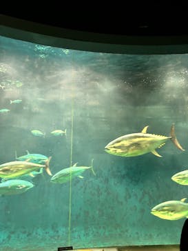 葛西臨海水族園に投稿された画像（2025/12/14）